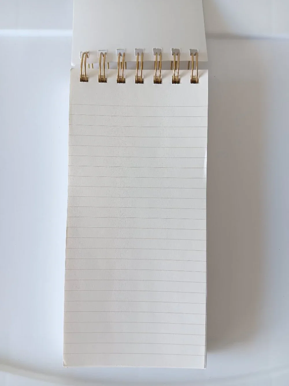 Punch Studio Spiral Bound Notebook 125 Sheets Floral Lined Pages